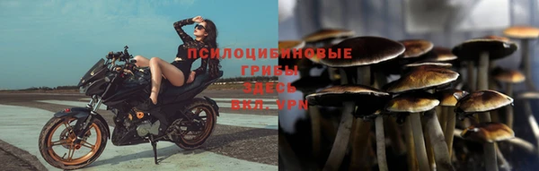 спайс Алексеевка