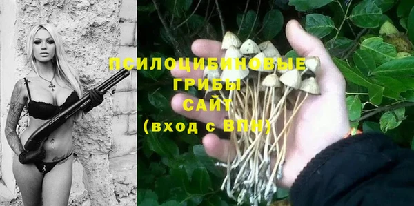 круглые Алексин