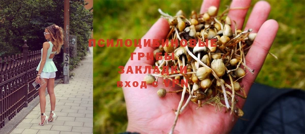 круглые Алексин