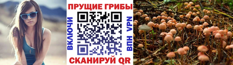 Галлюциногенные грибы мухоморы  Ейск 