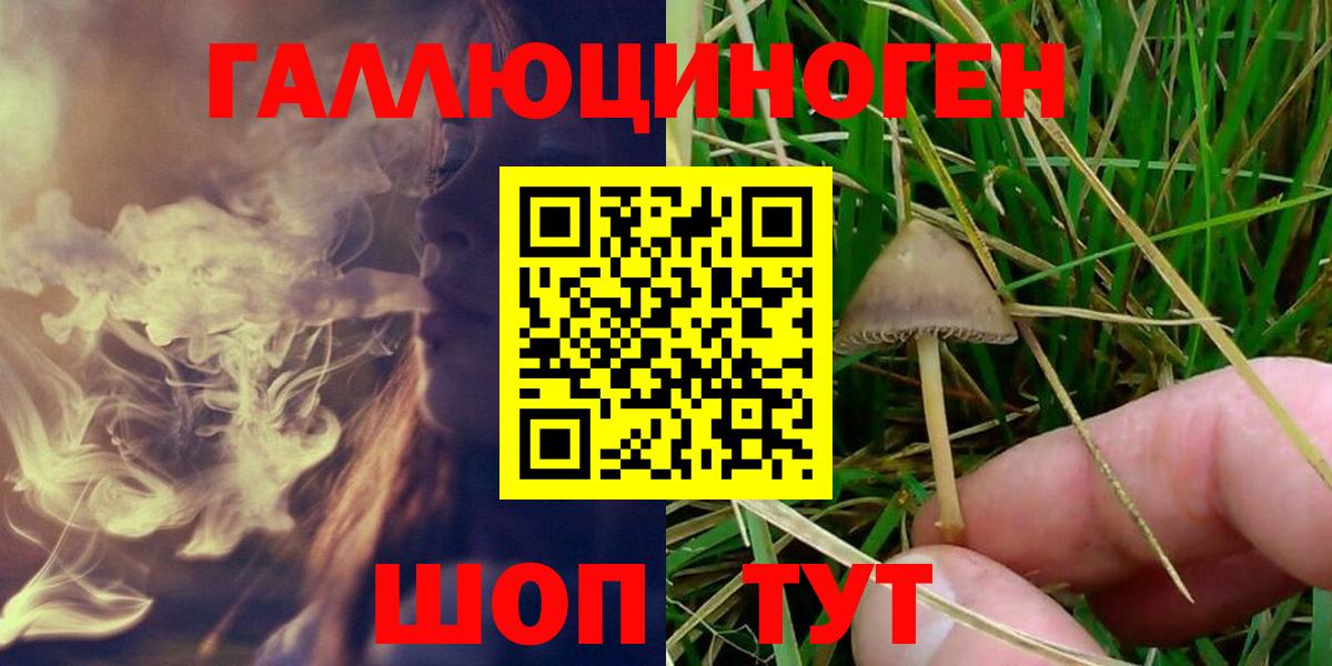 Псилоцибиновые грибы GOLDEN TEACHER Ейск