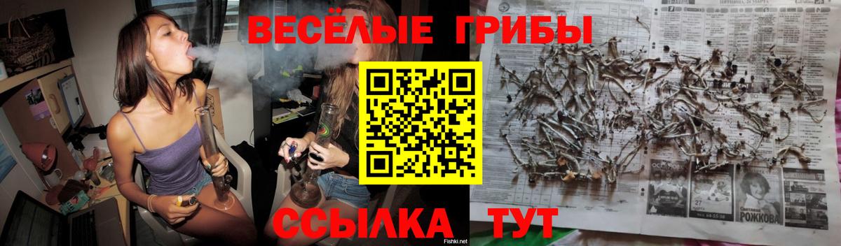 Псилоцибиновые грибы Psilocybine cubensis  Вход с VPN  Ейск 
